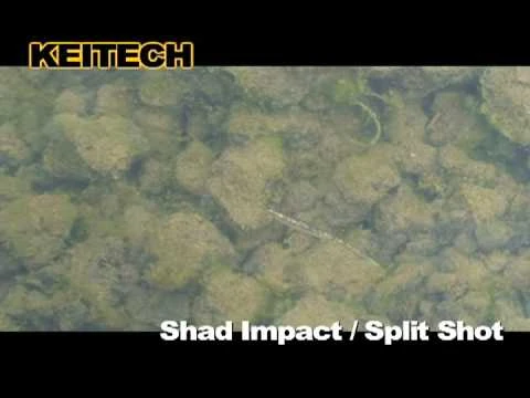 Soft Plastics Keitech Shad Impact - Image 4