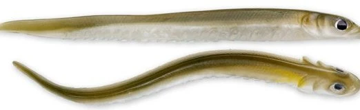 Soft Plastics Hogy Sand Eels