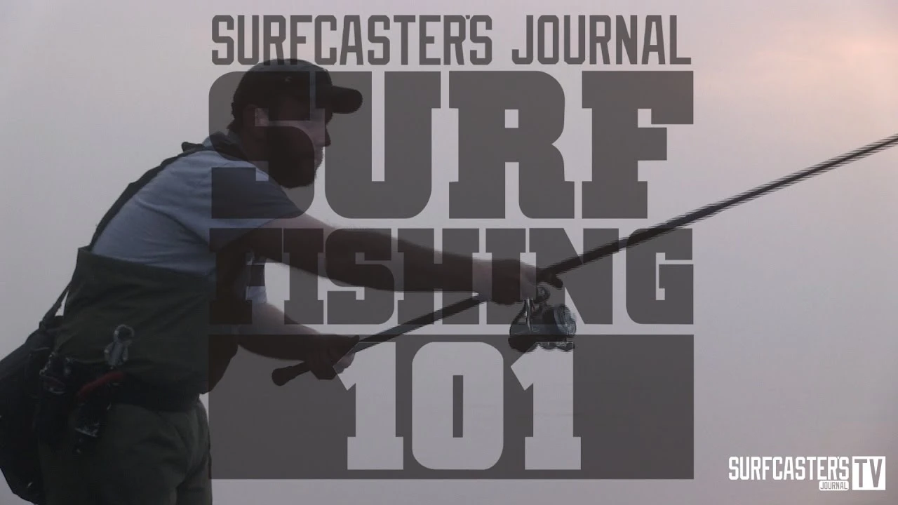 Hard Baits Sebile Magic Swimmer - Image 2