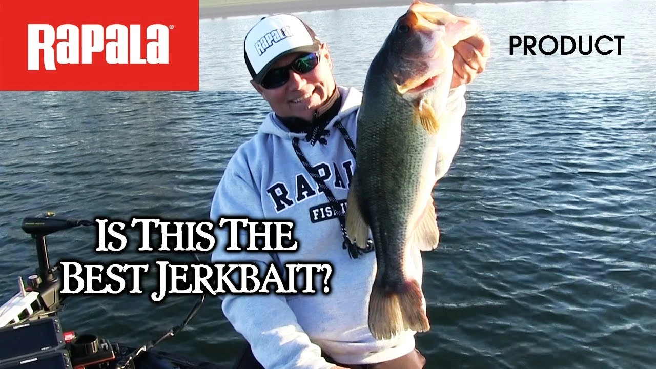 Hard Baits Rapala Shadow Rap Shad - Image 2