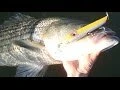 Alternative view of Hard Baits Gibbs Pro Series Pencil Popper Wooden Surf Lures