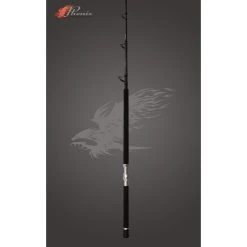 Casting Rods Phenix Axis Casting Rail Rods